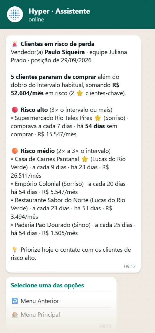 Menu do assistente no WhatsApp
