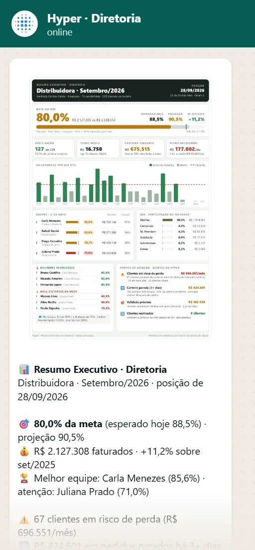 Resumo executivo da diretoria gerado pela automação